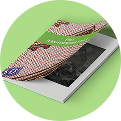 https://preprod2.distingo.net/wp-content/uploads/2018/02/2013-1.png